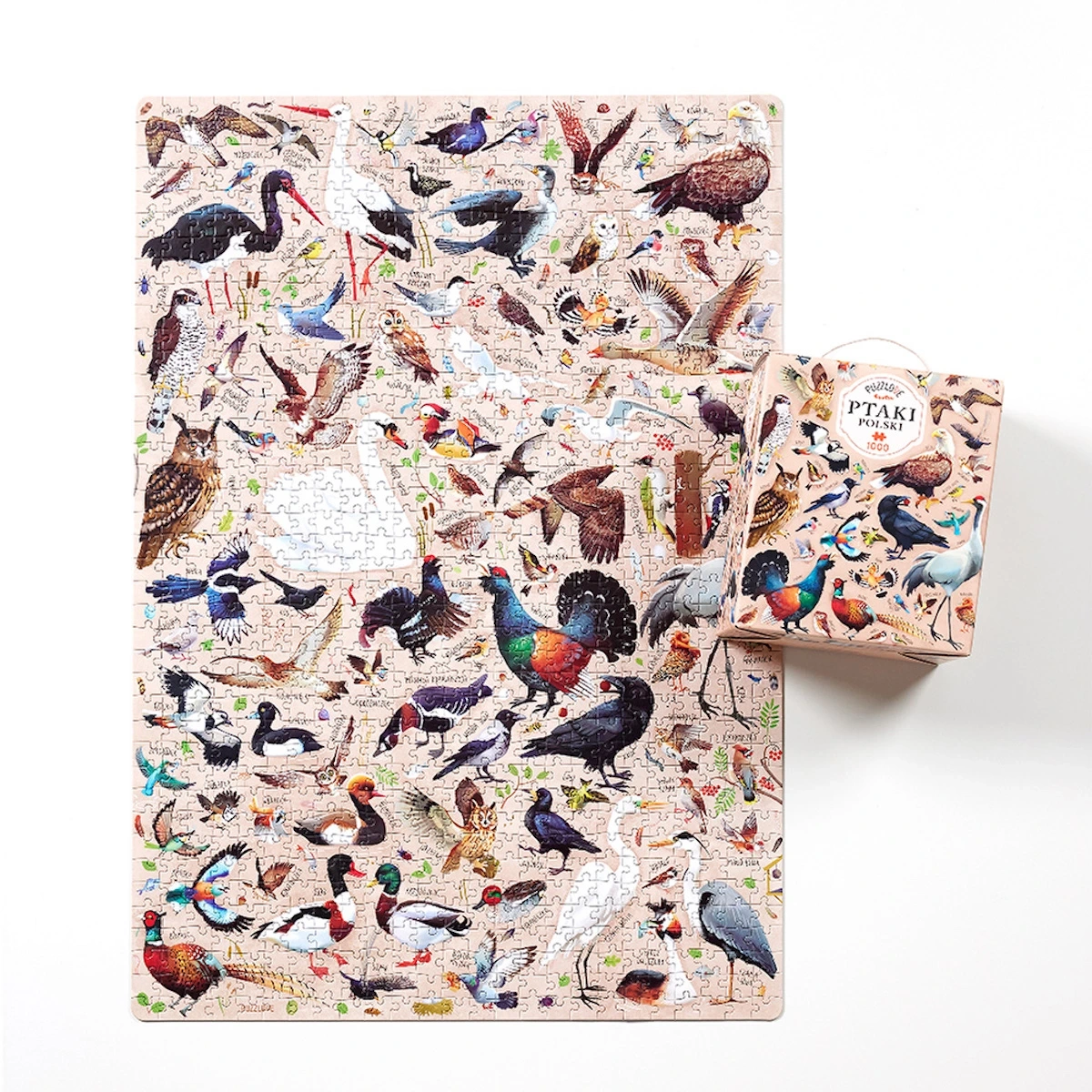 Puzzle CzuCzu Puzzlove Ptaki Polski 1000 elementów - miniatura 3