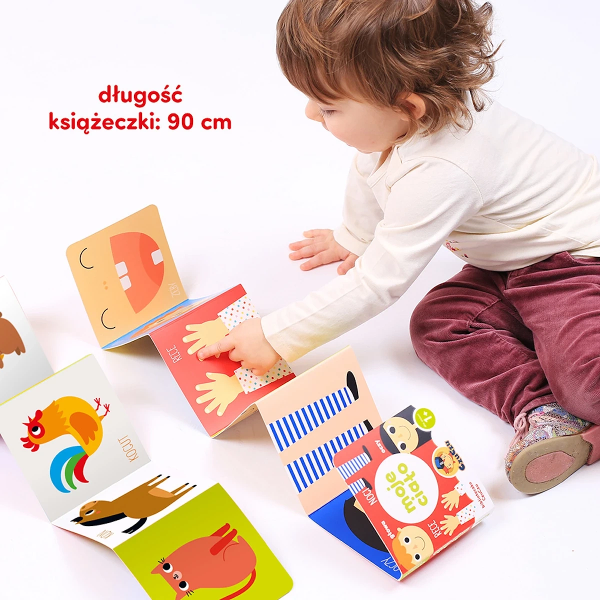Książeczki rozkładane CzuCzu Biblioteczka malucha 4 sztuki 1+ - miniatura 6