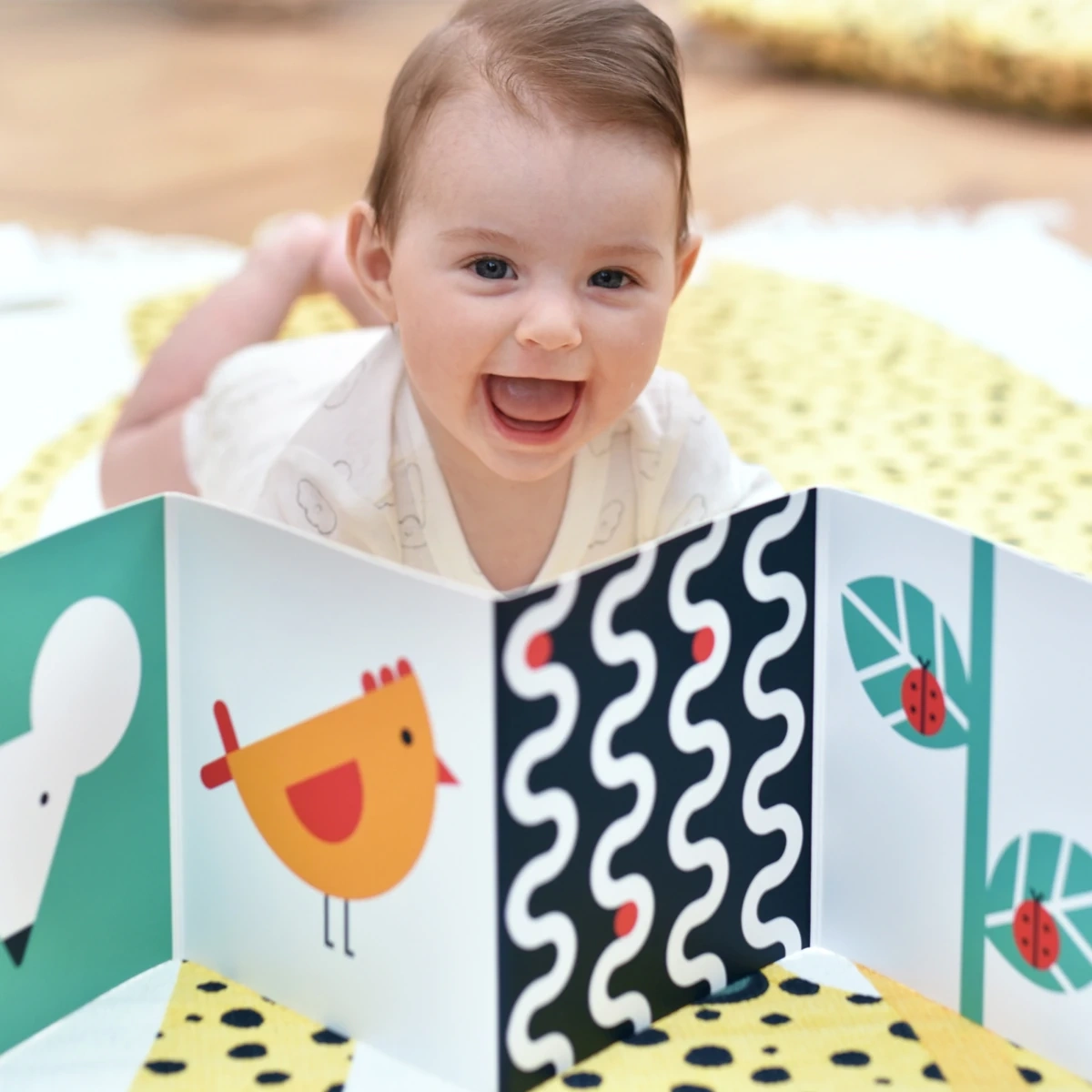 Karty kontrastowe CzuCzu Starter malucha z książeczkami harmonijkami 0-6 miesięcy - miniatura 2